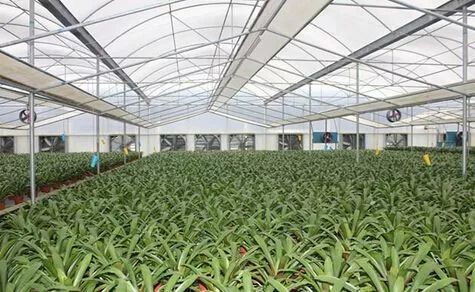 財(cái)政部公示21個(gè)國家現(xiàn)代農(nóng)業(yè)產(chǎn)業(yè)園,服務(wù)現(xiàn)代農(nóng)業(yè)我們是認(rèn)真的