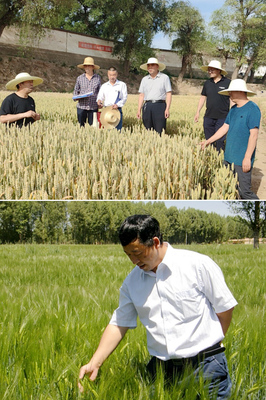 【社會(huì)服務(wù)紀(jì)實(shí)】農(nóng)學(xué)院黨委抓黨建促鄉(xiāng)村振興紀(jì)實(shí)-甘肅農(nóng)業(yè)大學(xué)