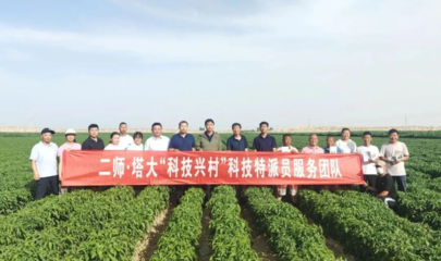 【本地動(dòng)態(tài)】塔里木大學(xué)科技特派員團(tuán)隊(duì)來(lái)和碩縣開(kāi)展科技服務(wù)