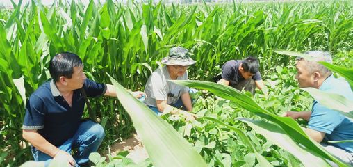 銀川市農(nóng)業(yè)農(nóng)村系統(tǒng)深入田間地頭宣講黨代會(huì)精神