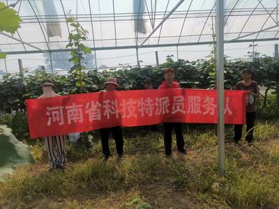 河南省科技特派員王尚堃赴鄲城縣開展&lsquo;陽光玫瑰&rsquo;葡萄栽培管理技術服務指導