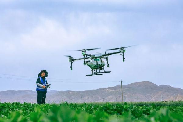 起飛!榆中無人機(jī)穿越田間忙農(nóng)事