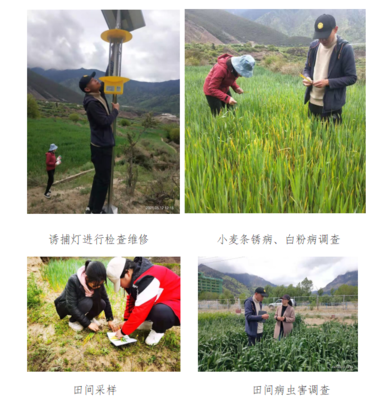 農(nóng)口科技人員春季下基層服務(wù)簡(jiǎn)報(bào)