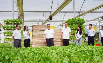 服務三農(nóng) 助力鄉(xiāng)村振興 河南日報社南陽分社黨支部聯(lián)合內(nèi)鄉(xiāng)縣中以高效農(nóng)業(yè)科技開發(fā)黨支部開展主題黨日活動