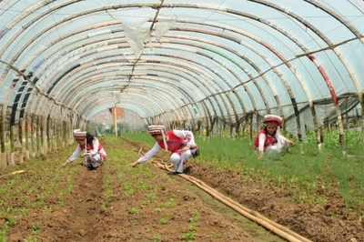 聚焦黨代會 | 五華奮力譜寫區(qū)域性國際中心城市高品質(zhì)核心區(qū)建設嶄新篇章