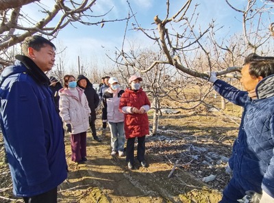 科技助農(nóng)到田間 服務果農(nóng)暖心田--開封市農(nóng)林科學研究院"四下基層"科技服務紀實