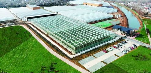 農(nóng)業(yè)生產(chǎn)方式創(chuàng)新:都市農(nóng)場;數(shù)據(jù):農(nóng)業(yè)總產(chǎn)值或達10.7萬億