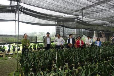 助推鄉(xiāng)村振興:九三學社廣東省委到肇專題深調(diào)研