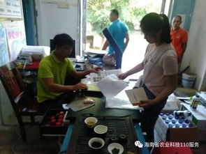 實(shí)現(xiàn)農(nóng)業(yè)科技110轉(zhuǎn)型升級 助力鄉(xiāng)村振興戰(zhàn)略實(shí)施 南部服務(wù)中心技術(shù)員走訪五指山8個(gè)服務(wù)站