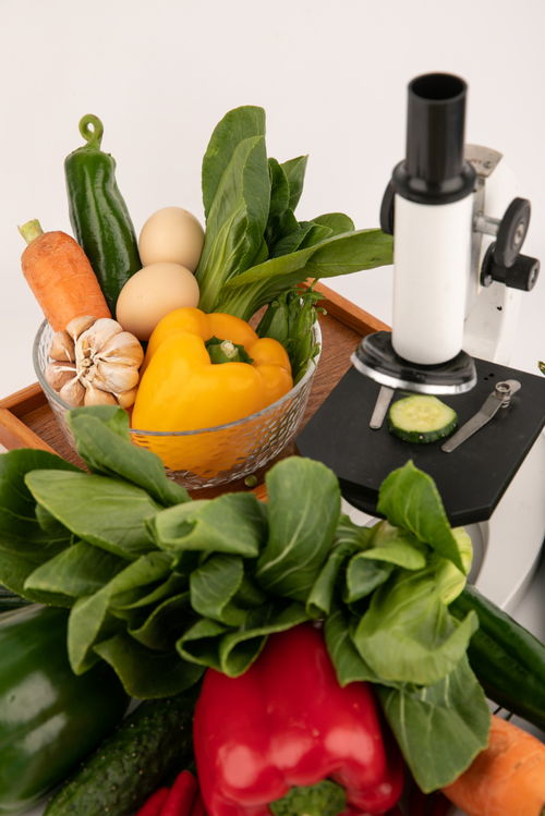 甜椒上海青食品安全農(nóng)業(yè)科技食品培育攝影圖 插畫 下載至來源處