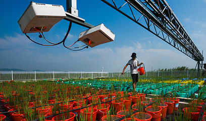 江蘇南京國(guó)家農(nóng)業(yè)高新技術(shù)產(chǎn)業(yè)示范區(qū)