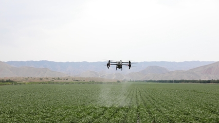 八師一四三團(tuán):智慧農(nóng)業(yè)顯身手 科技種田有盼頭