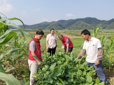 黨建引領(lǐng)鄉(xiāng)村振興 | 橫州市農(nóng)業(yè)農(nóng)村局農(nóng)科干部下沉鄉(xiāng)村開展秋季種養(yǎng)生產(chǎn)技術(shù)指導(dǎo)