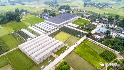 彭州農(nóng)業(yè)又獲得國(guó)家級(jí)創(chuàng)建名單!