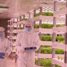 AI人工智能進(jìn)軍農(nóng)業(yè) 中科三安驚艷9.8投洽會